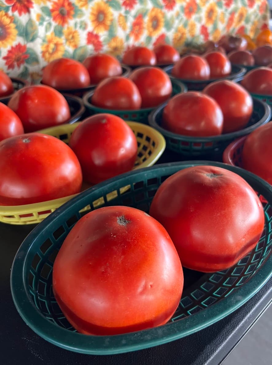 Fresh produce at the Rogers Farmers Market