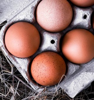 Organic Eggs